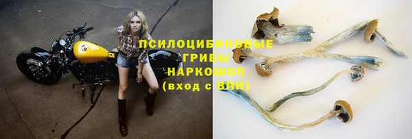 эйфоретик Армянск